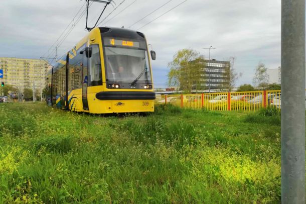 Tramwaj na zielonym torowisku